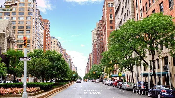 Rented by Alpha Properties NYC I LLC | media 17