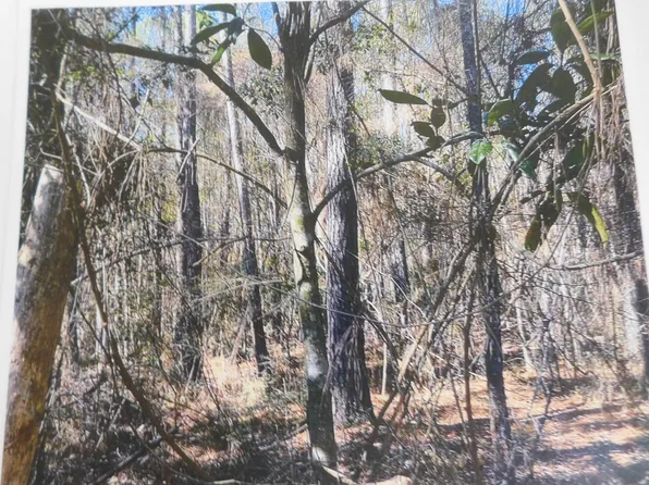 Transmitter Rd, Lacombe, LA 70445