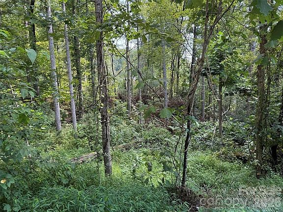 5th image of 256 Burge Mountain Rd
