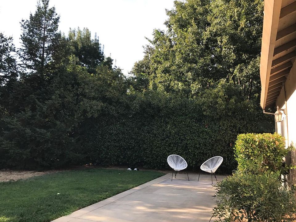 Backyard-1