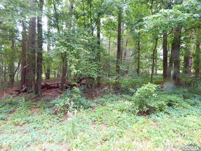 Quiet Oak Dr, Gilmer, TX, 75645