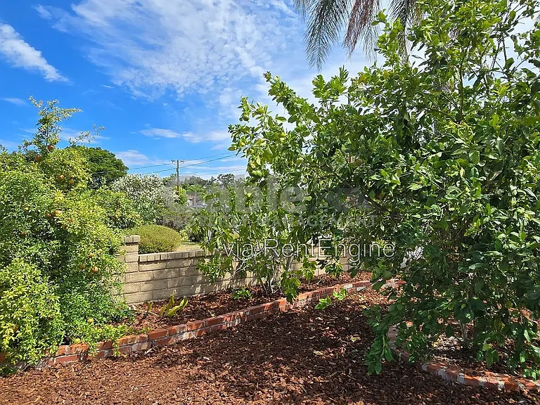 24943 Chestnut St — Photo 34