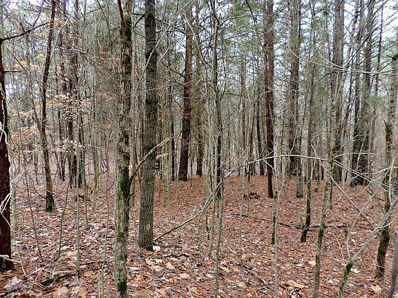 2nd image of 0 Covington Rd Lot 1B