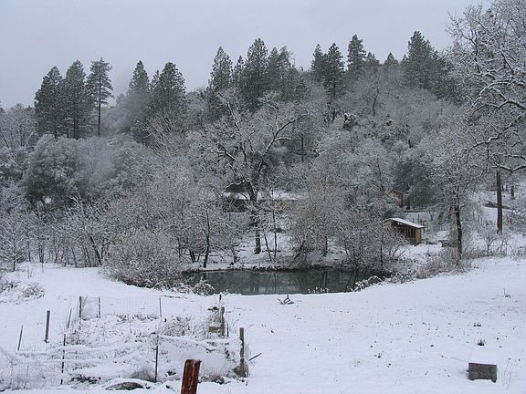 A nice snow day for the kids!