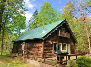 322 W Morgan Dr, Luther, MI 49656