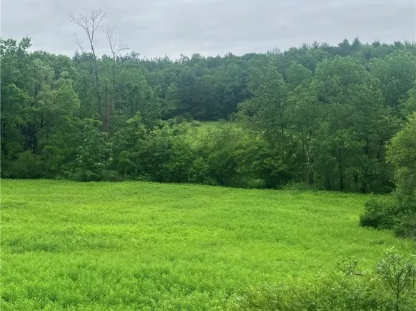 0 Oregon Rd #3, Gilbertsville, NY 13776
