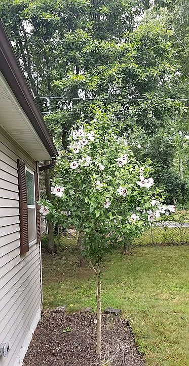 2nd image of 154 W Bartlett Rd