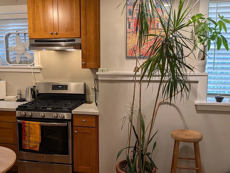 527 Malden Ave E #11 — Photo 5