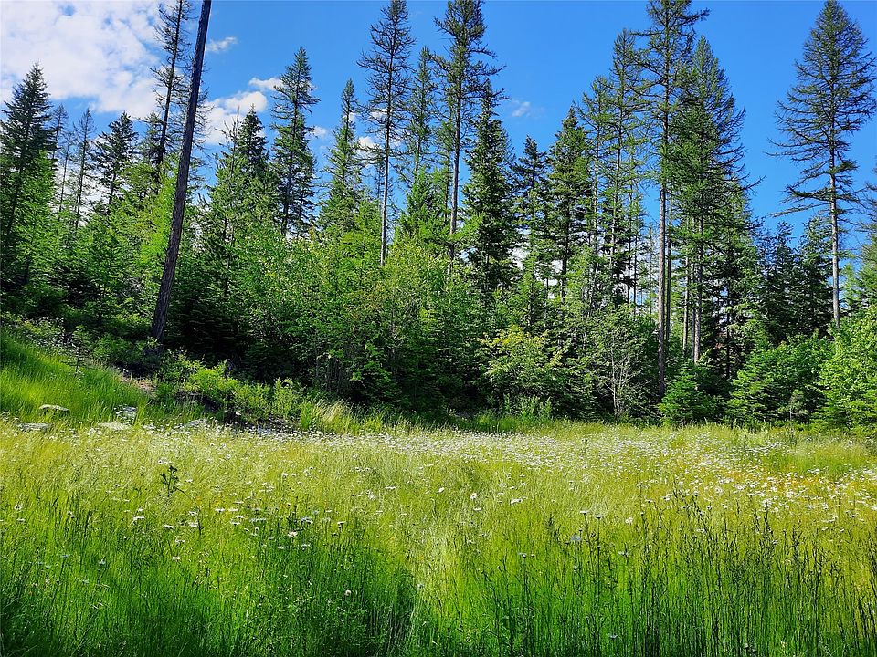 42780 Peach Park Loop, Rollins, MT 59931 Zillow