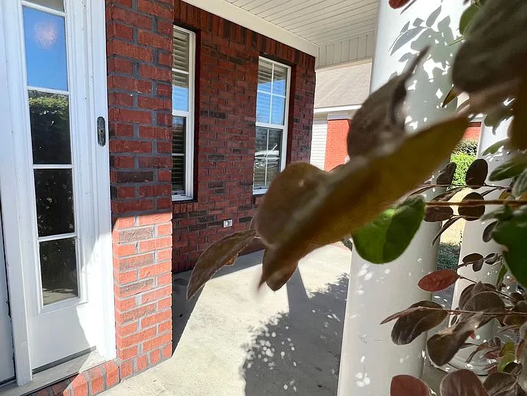 4556 Deslin Dr — Photo 3