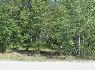 Tuscarora Cir, Indian River, MI 49749