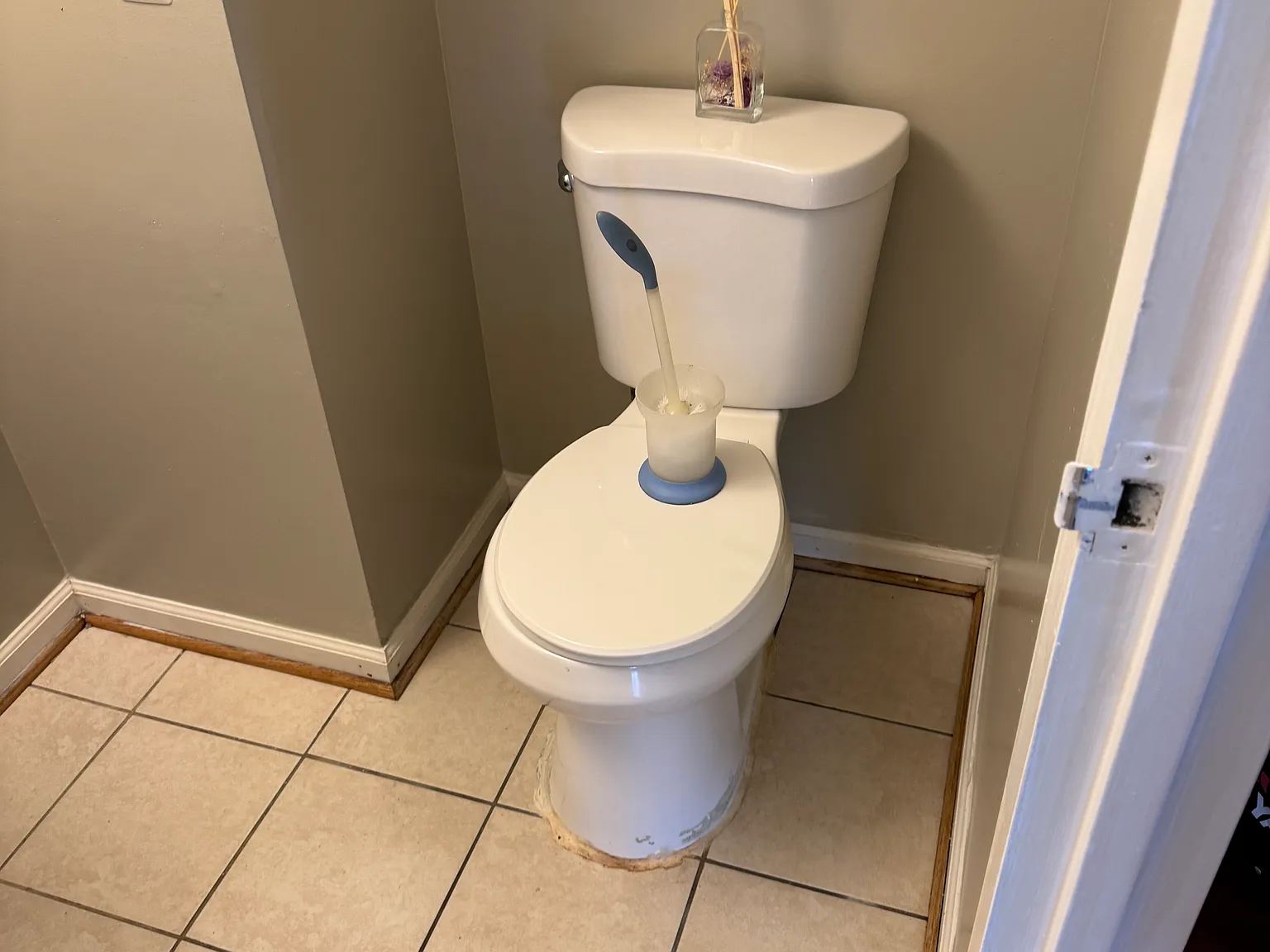 1 bed, 1.5 bath, 930 sqft, $2,000 — Photo 3