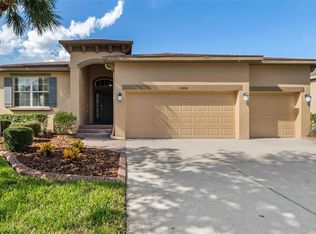 15654 Starling Water Dr, Lithia, FL 33547