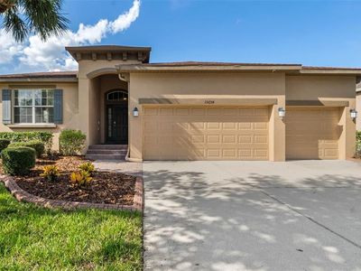 15654 Starling Water Dr, Lithia, FL, 33547