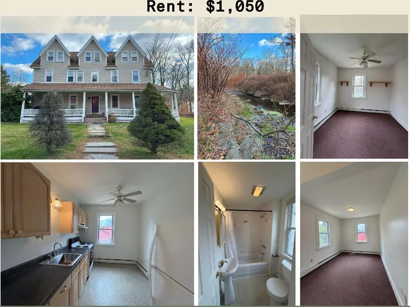 1825 Shandelee Rd #4, Livingston Manor, NY 12758