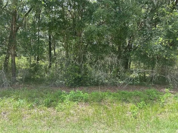 SW 111th Ln Lot 93, Dunnellon, FL 34432