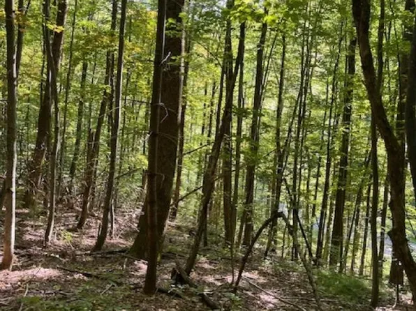 0 Rupert Road, Sandgate, VT 05250