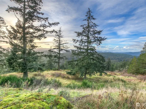 0 Rustic Homestead- SW1 Lane, Orcas Island, WA 98245