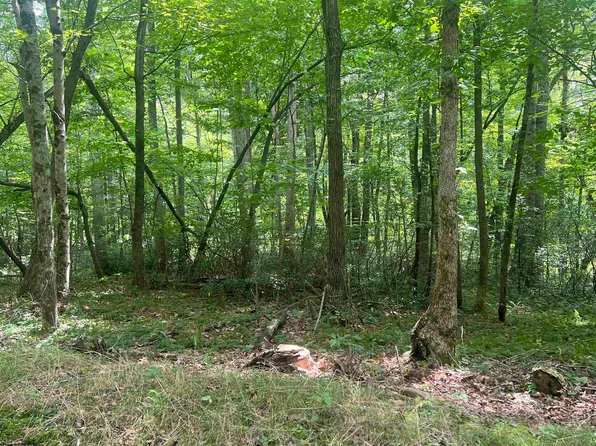Derico Rd, Buckhannon, WV 26201