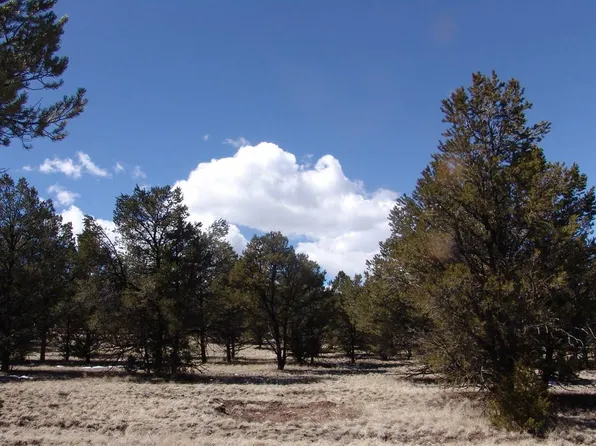 0 Last Frontier Trl Unit I, Datil, NM 87821