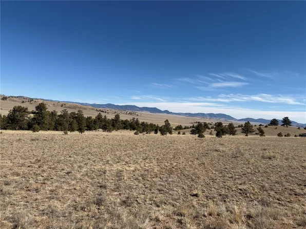 367 Arikara Trl, Hartsel, CO 80449