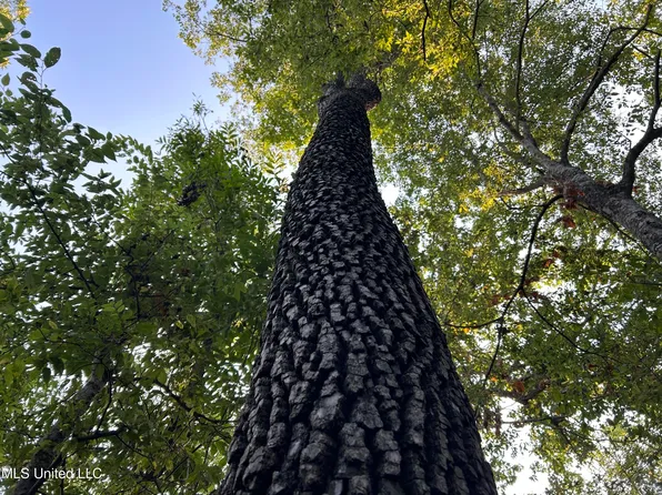 Omega Rd, Rolling Fork, MS 39159