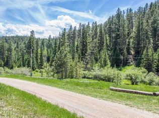 21509 Mountain Stream Rd, Lead, SD 57754