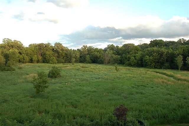View of Wetland