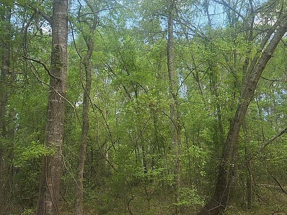 3rd image of LOT 6 Thornwood Dr