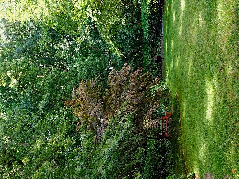 Green space with picnic tables