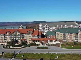 408 Rimfire Dr, Snowshoe, WV 26209