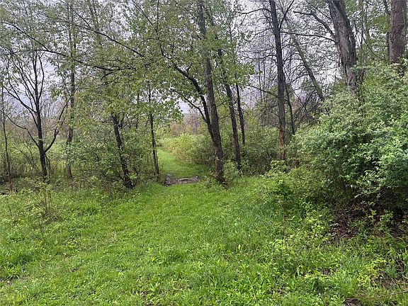 5th image of 0 Hollis Rd