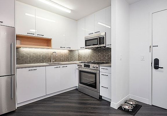 3rd image of 250 E Houston St Ph G