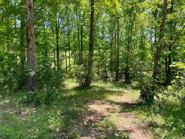 151 Sandy Springs Dr, Athens, GA 30601