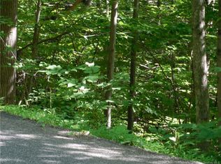 Traver Hollow Rd, Olive, NY 12412