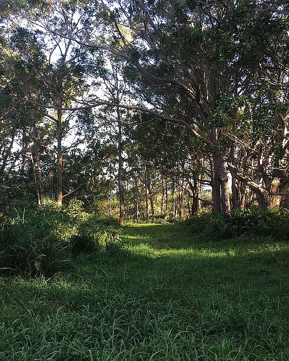 2nd image of 0 Homestead Rd
