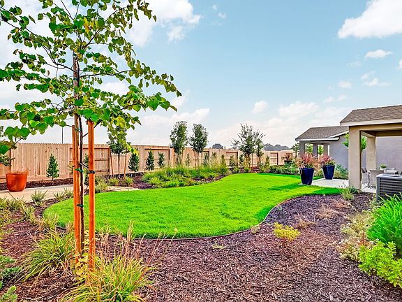 Large backyard