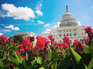 429 1st St SE, Washington, DC 20003