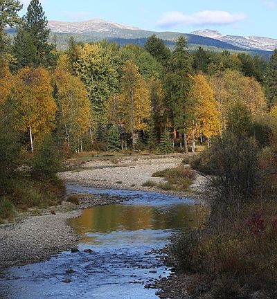 Pack River
						:
						Beautiful Fall morning
