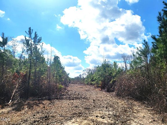 5th image of 8234 Elevation Rd Lot 4