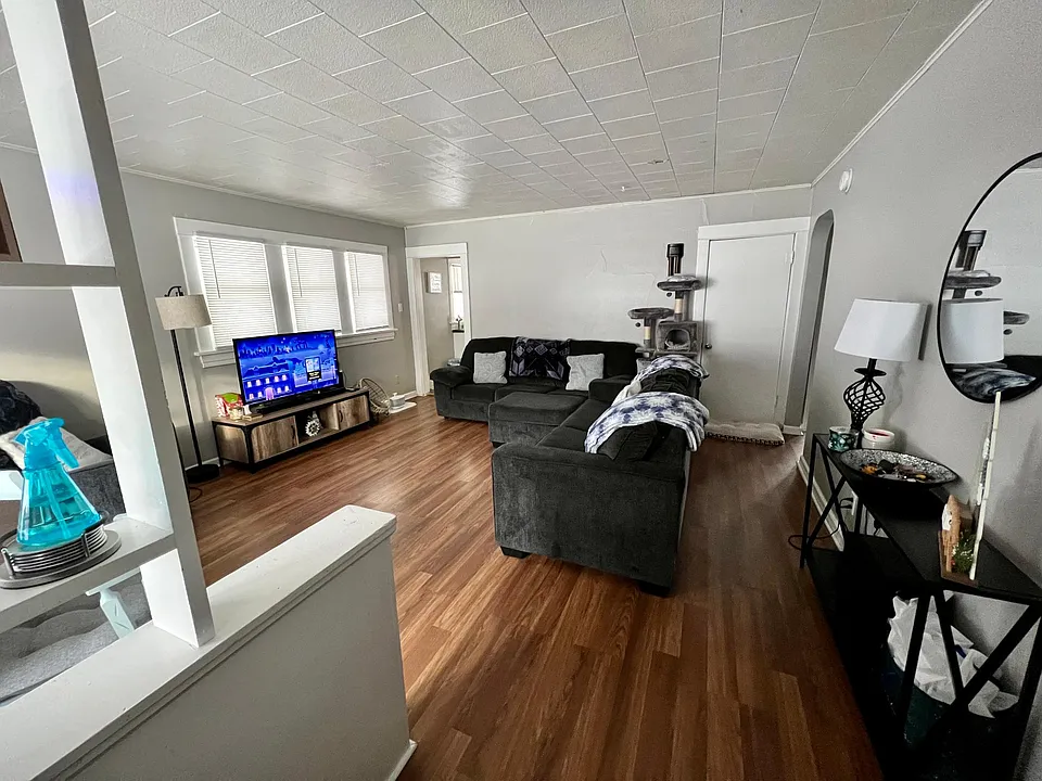 Living Room / Front Entrance
