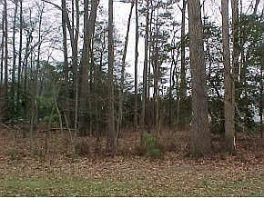 2nd image of 48 Love Creek Dr