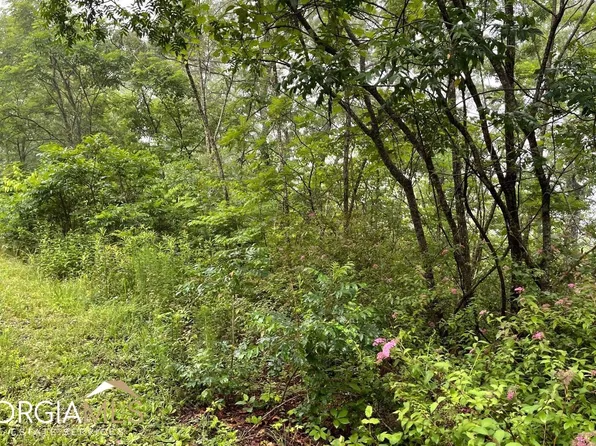 LOT 7 Trillium Hts, Hayesville, NC 28904