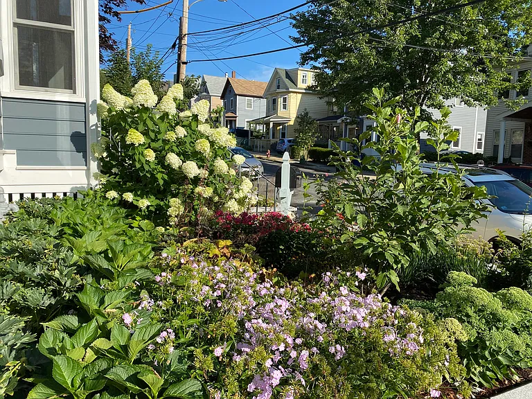 28 Avon St — Photo 60