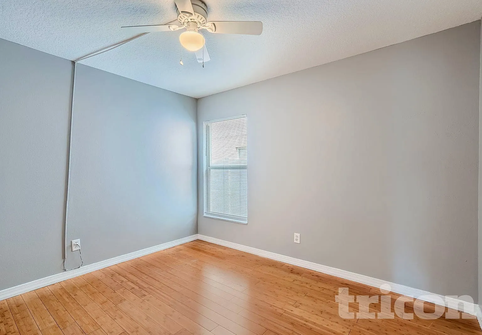 4706 Stove Place Valrico FL — Photo 3