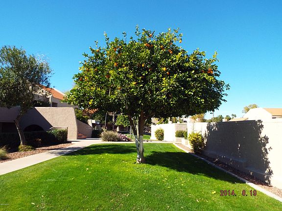 3rd image of 7220 N Via Camello Del Norte Street #23