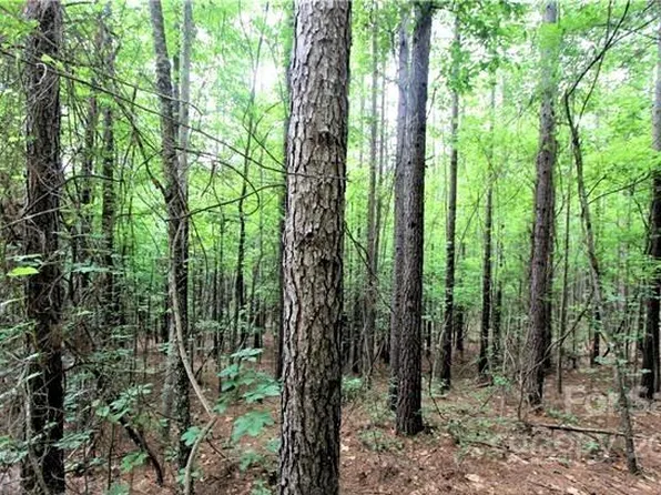 0 Chasewood Dr #8, Rutherfordton, NC 28139