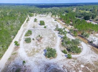 23244 Oak Ln, Sorrento, FL 32776