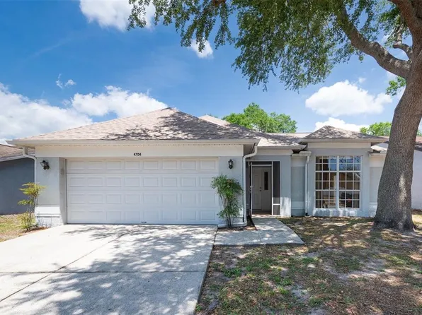 4704 Lighterwood Way, Valrico, FL 33596