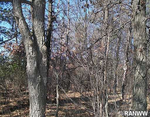 1st image of W10236 Vaudreuil Road